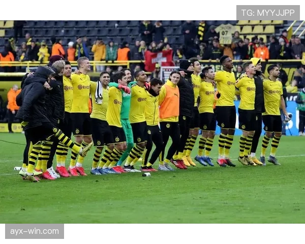 德甲新面貌：阵容调整激发球队潜能，竞争力显著提升引关注