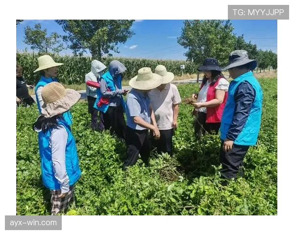 韩国队海外拉练助力备战新赛季,技能提升与团队磨合同步进行 韩国队海外拉练助力备战新赛季,技能提升与团队磨合同步进行